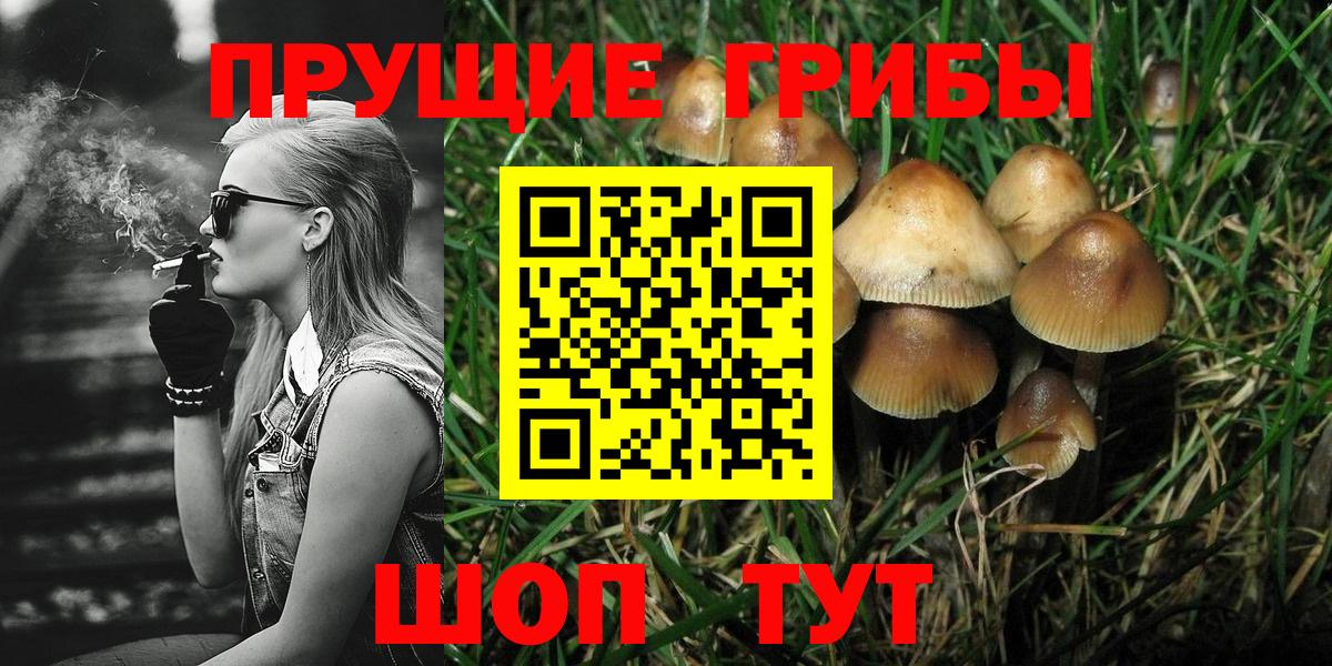 Галлюциногенные грибы Psilocybine cubensis Иркутск