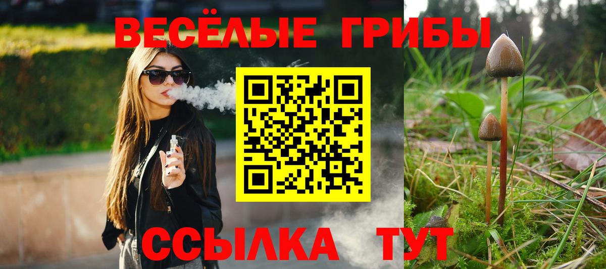 Галлюциногенные грибы прущие грибы  что такое   Галлюциногенные грибы Psilocybe  Иркутск  Вход с VPN 
